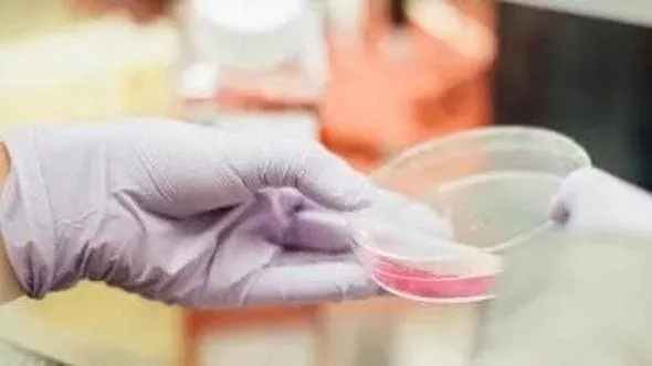 Lab Revolution