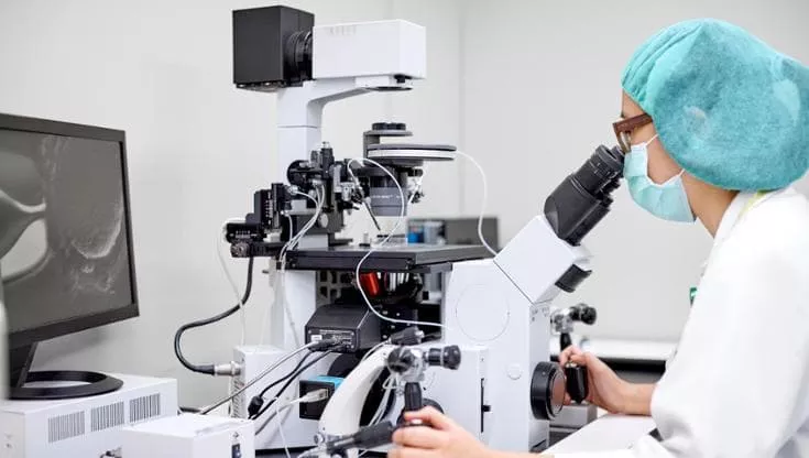 11 milioni di casi di tumore allo stomaco da Helicobacter: che cosa fare per prevenirlo